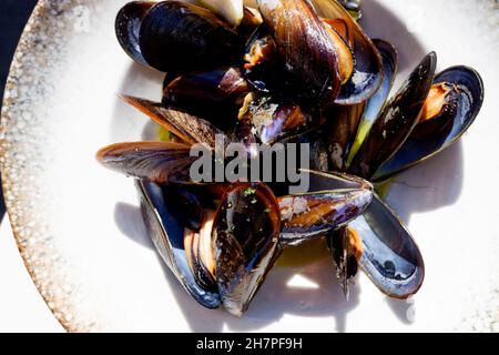 Ein Aperitif aus gekochten Muscheln, typisch für die spanische Gastronomie. Stockfoto