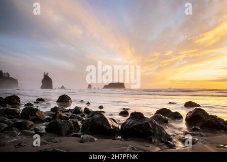 WA20452-10....WASHINGTON - Cedar Creek Beach entlang der wilden Pazifikküste des Olympic National Park. Stockfoto