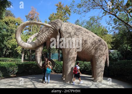 BARCELONA, SPANIEN - 7. OKTOBER 2021: Die Menschen besuchen die Mammutstatue im Parc de la Ciutadella in Barcelona, Spanien. Stockfoto