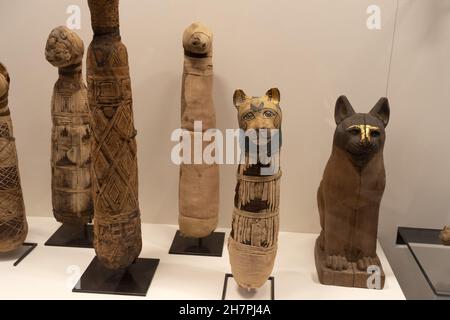 Ägypten mumifizierte Katze Mumie ägyptischer in einem Grab Pyramide Stockfoto