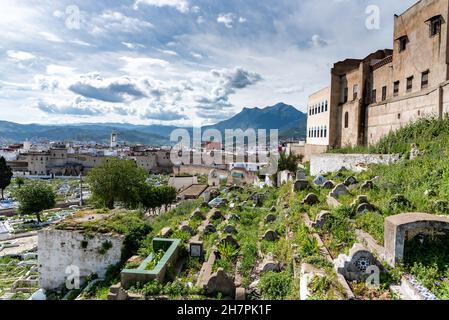 Die Medina von Tetouan in Marokko. Ein Blick auf den Friedhof von Tetouan. Die alten Gräber sind im Grünen ertrunken Stockfoto