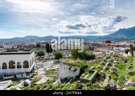 Die Medina von Tetouan in Marokko. Ein Blick auf den Friedhof von Tetouan. Die alten Gräber sind im Grünen ertrunken Stockfoto