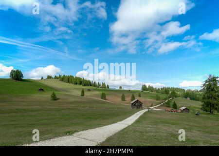 Pra de Armentara - Wanderung entlang der Armentara Alpinwiesen in Südtirol Stockfoto