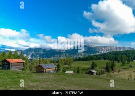 Pra de Armentara - Wanderung entlang der Armentara Alpinwiesen in Südtirol Stockfoto