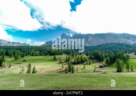 Pra de Armentara - Wanderung entlang der Armentara Alpinwiesen in Südtirol Stockfoto