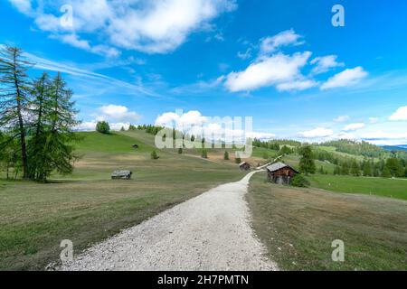 Pra de Armentara - Wanderung entlang der Armentara Alpinwiesen in Südtirol Stockfoto