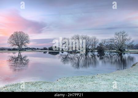 Janesmoor Pond, New Forest, Fritham, Hampshire, England, Vereinigtes Königreich Stockfoto