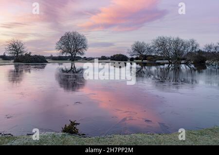 Janesmoor Pond, New Forest, Fritham, Hampshire, England, Vereinigtes Königreich Stockfoto