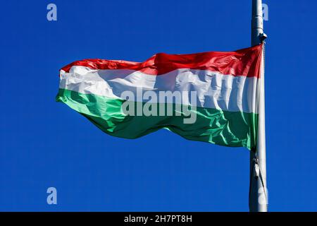 Ungarische Nationalflagge weht im Wind in direktem Sonnenlicht in Richtung klaren blauen Himmel an einem sonnigen Tag Stockfoto