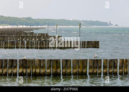 Seitenansicht der Holzpfosten. Diese Art von Wellenbrechern schützt den Sandstrand vor unheimlichen, riesigen Wellen, die an einem windigen Tag auftreten können. Das ist zu sehen Stockfoto