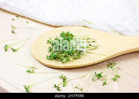 Frisch wachsende Micro Greens von jungen Brunnenkressensalat in Holzlöffel auf hellem Hintergrund. Stockfoto