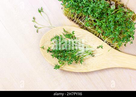 Frisch wachsende Micro Greens von jungen Brunnenkressensalat in Holzlöffel auf hellem Hintergrund. Stockfoto