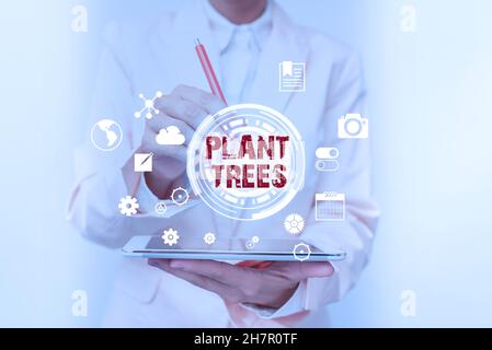 Schild mit Pflanzenbäumen. Geschäftsidee Prozess der Pflanzung eines Baumes für den Landanbau und die Forstwirtschaft Geschäftsfrau berührt digitale Daten auf Stockfoto