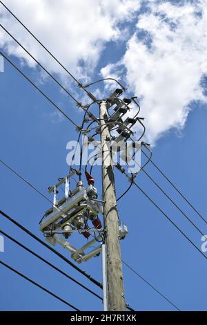 Mehrere Steckverbinder isolieren elektrische Drähte an einem Holzmast. Stockfoto