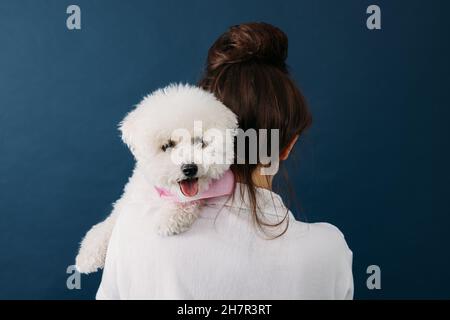 Ein kleiner flauschiger Hund, der auf der Schulter liegend auf die Kamera schaut Stockfoto