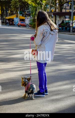 Ein stilvolles Mädchen geht mit ihrem Hund Yorkshire Terrier auf der Stadtstraße. Niedlicher Hündchen an der Leine. Selektiver Fokus. Stockfoto