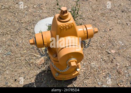 Vorderansicht des frisch lackierten gelben Hydranten. Stockfoto