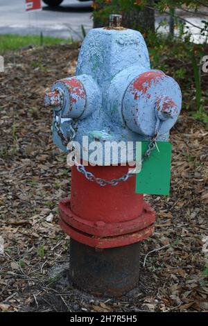 Nahaufnahme des abgenutzten blauen und roten Hydranten. Stockfoto