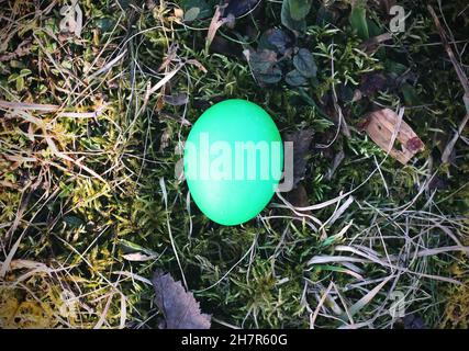 Bunte Ostereier auf dem Boden Stockfoto