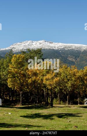 Paisaje de montañas y bosques en el parque nacional de Sierra de Guadarrama Madrid España. Otoño. Rotes Natura 2000 Stockfoto