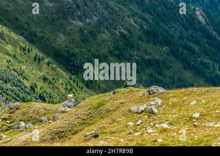 Malerische Alpenlandschaft im Nationalpark hohe Tauern bei einer Wanderung rund um den Mt. Großglockner, Österreich Stockfoto