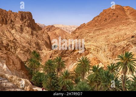 Blick auf die Bergoase von Shebika, mitten in der Sahara-Wüste, Tunesien Stockfoto