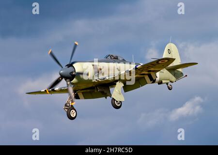 Yeovilton, Somerset, Großbritannien -17 2005. September:Historischer Flug der Royal Navy Hawker Sea Fury FB.11 - VR930 kommt auf dem RNAS Yeovilton Air Day 2005 an Land Stockfoto