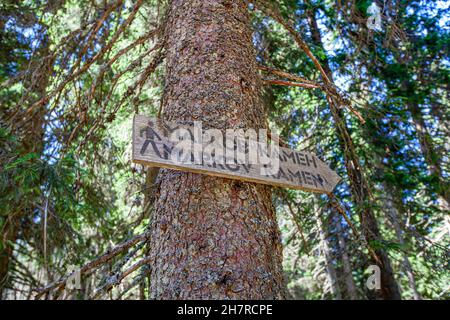 Hölzerne Tafel zeigt Wegbeschreibungen mit einem rustikalen Pfeil an, die Ihnen Orientierung und Anleitung für ein Outdoor-Abenteuer in der Natur bieten. Stockfoto