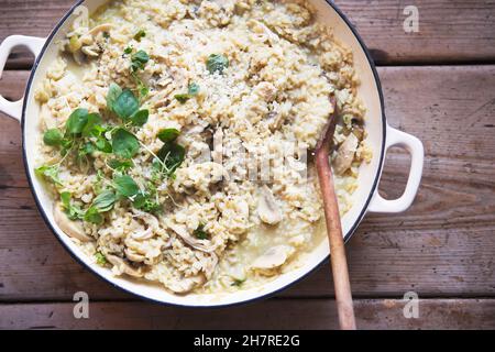 Risotto mit Huhn und Pilzen Stockfoto