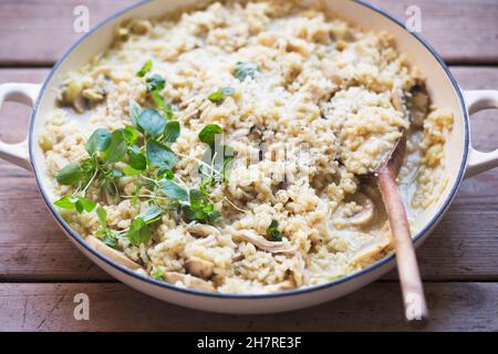 Risotto mit Huhn und Pilzen Stockfoto