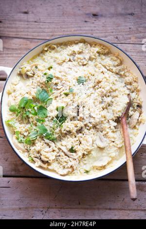 Risotto mit Huhn und Pilzen Stockfoto