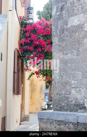 Alte Gasse in kleinen Stadt in Kroatien Stockfoto