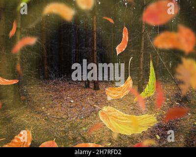 Seltsamer nebliger dunkler Wald mit herbstlichen Blättern. Unüberwindbare dunkle Landschaft mit orangefarbenen und roten Blättern, die auf den Wind fallen und fliegen. Stockfoto