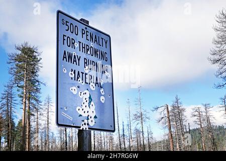 Ein Autobahnschild, das mehrmals von Vandalen in den Cascade Mountains im Zentrum von Oregon geschossen wurde. Stockfoto