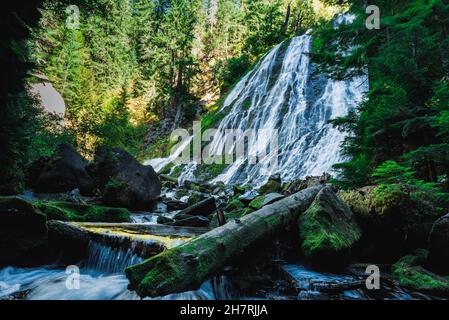 Underwood Wasserfall am Diamond Creek Stockfoto