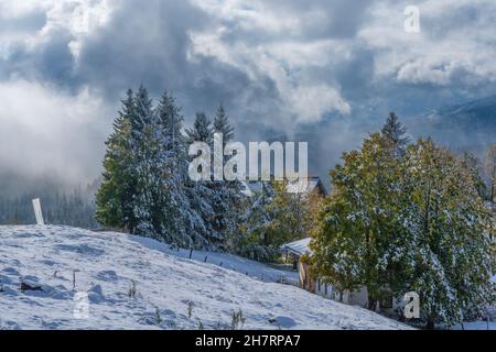 Verschneite Winklmoosalm oder Winklmoosalm, Hochplateau 1170m ASL, Reit im Winkl, Chiemgau, Oberbayern, Bayrischen Alpen, Süddeutschland, Europa Stockfoto