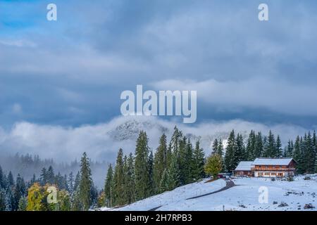 Verschneite Winklmoosalm oder Winklmoosalm, Hochplateau 1170m ASL, Reit im Winkl, Chiemgau, Oberbayern, Bayrischen Alpen, Süddeutschland, Europa Stockfoto