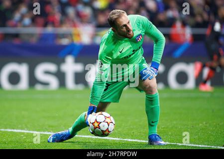 Madrid, Spanien. 24th. November 2021. Jan Oblak von Atletico de Madrid während des UEFA Champions League-Spiels zwischen Atletico de Madrid und AC Mailand im Wanda Metropolitano Stadium in Madrid, Spanien. (Bild: © Indira/DAX via ZUMA Press Wire) Bild: ZUMA Press, Inc./Alamy Live News Stockfoto