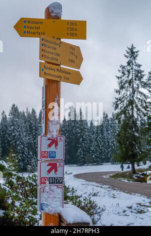 Verschneite Winklmoosalm oder Winklmoosalm, Hochplateau 1170m ASL, Reit im Winkl, Chiemgau, Oberbayern, Bayrischen Alpen, Süddeutschland, Europa Stockfoto