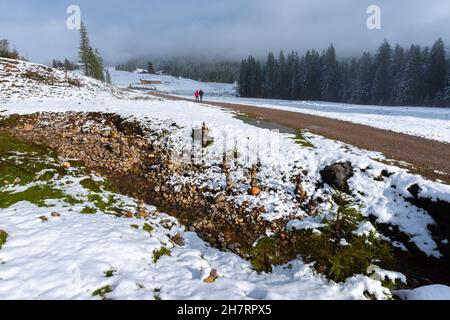 Verschneite Winklmoosalm oder Winklmoosalm, Hochplateau 1170m ASL, Reit im Winkl, Chiemgau, Oberbayern, Bayrischen Alpen, Süddeutschland, Europa Stockfoto