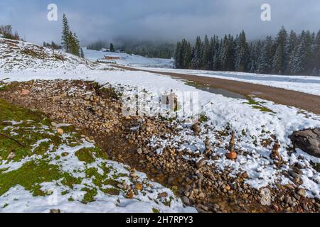 Verschneite Winklmoosalm oder Winklmoosalm, Hochplateau 1170m ASL, Reit im Winkl, Chiemgau, Oberbayern, Bayrischen Alpen, Süddeutschland, Europa Stockfoto