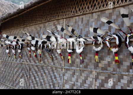 Traditionelle Naga-Kopfbedeckung aus Hornbill-Federn, die an der Wand einer traditionellen Naga-Hütte hängt Stockfoto