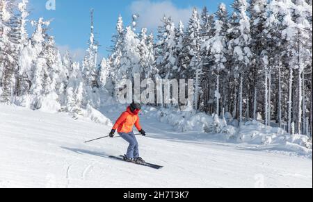 Alpinski. Skifahrerin Skifahrerin, die im Winter auf der Skipiste gegen schneebedeckte Bäume abfährt. Gute Freizeitfahrerin in rot Ski Stockfoto