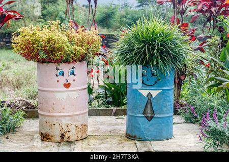 Umweltfreundliche Landschaftsgestaltung. Blumenbeete mit wiederverwendeten Kraftstoffkannen. Blumenpark in Bedugul, Tabanan, Bali, Indonesien. Stockfoto