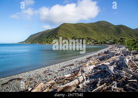 Waiorua Bay an einem sonnigen Tag auf Kapiti Island in der Nähe von Wellington, Neuseeland.