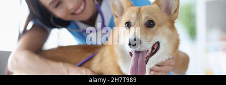 Lächelnde Tierärztin lauscht dem Herzschlag eines walisischen Corgi-Hundes mit Stestoskop Stockfoto