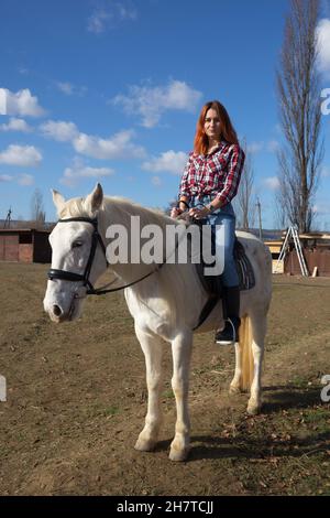 Junge, schöne Frau, die auf einem weißen Pferd auf dem Bauernhof sitzt. Stockfoto