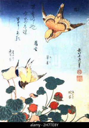 Hokusai - Schwalbe und Würger über Erdbeeren und Begonien - um 1834 Stockfoto