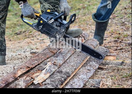 Zum Schneiden von Holz im Freien wird eine Kettensäge verwendet Stockfoto