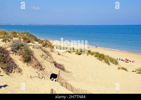 Ile d'Oleron; der Strand und die Sanddünen in der Nähe von Point Saumonarde Stockfoto